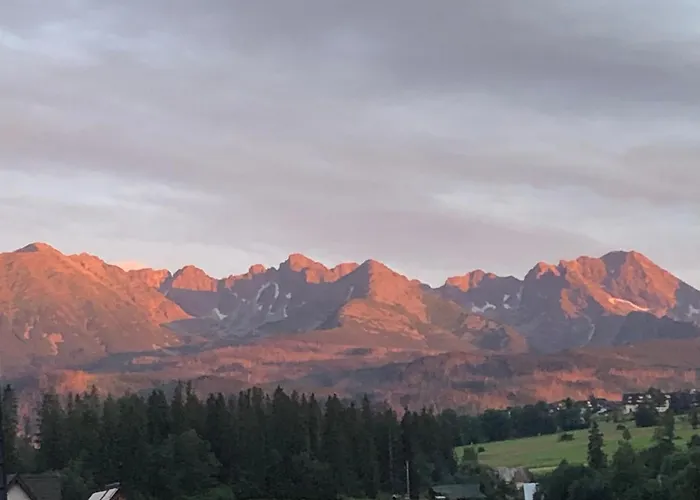 Joanna Affittacamere *